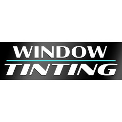 Window Tinting Vinyl Banner...