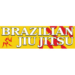 BRAZILIAN JIU JITSU Vinyl...