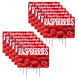 Raspberries 12 Pack Yard Signs - Each Sign is 24" x 16" Single-Sided and Comes with Metal Stake Made in The USA