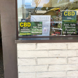 2 Pack CBD OIL Perforated Window Decal 9" x 15" each (Removable)