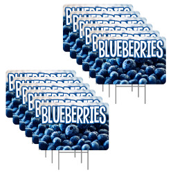 Blueberries 12 Pack Yard Signs - Each Sign is 24" x 16" Single-Sided and Comes with Metal Stake Made in The USA