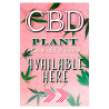 CBD Available Here (Pink) Economy A-Frame Sign