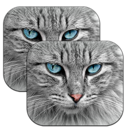 Grey Cat 2 Pack Car Window...