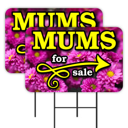 MUMS (Chrysanthemums) 2...