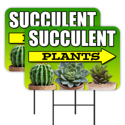 Succulent Plants 2 Pack...