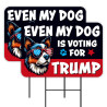 Even My Dog Is Voting For Trump 2 Pack Double-Sided Yard Signs 16" x 24" with Metal Stakes (Made in Texas)